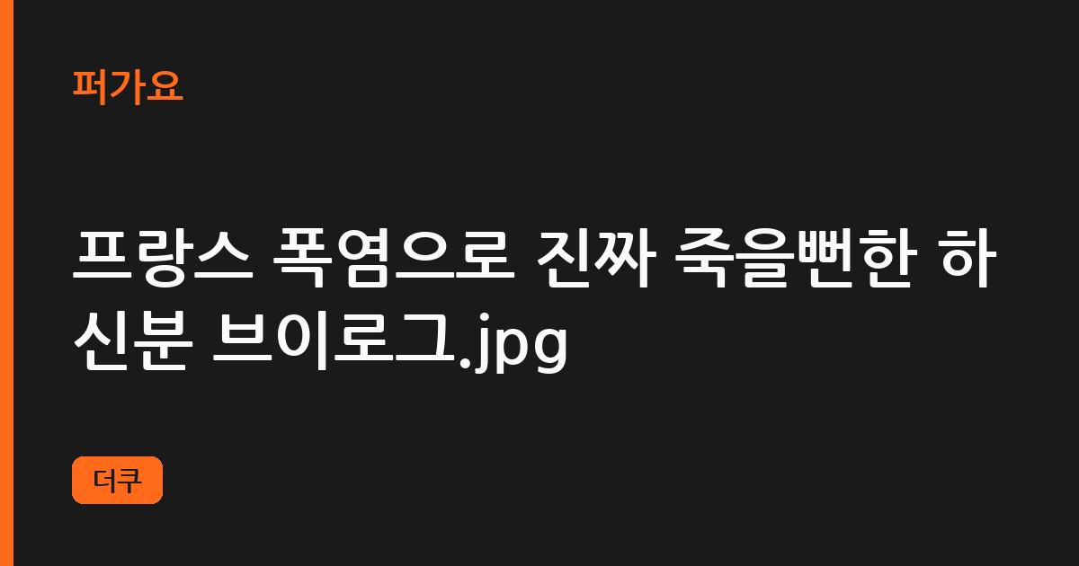 프랑스 폭염으로 진짜 죽을뻔한 하신분 브이로그.jpg 삽화